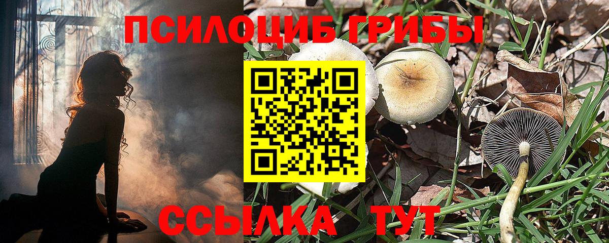 Белогорск  Псилоцибиновые грибы ЛСД  Вход с VPN 