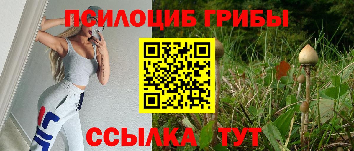 Галлюциногенные грибы Cubensis Белогорск